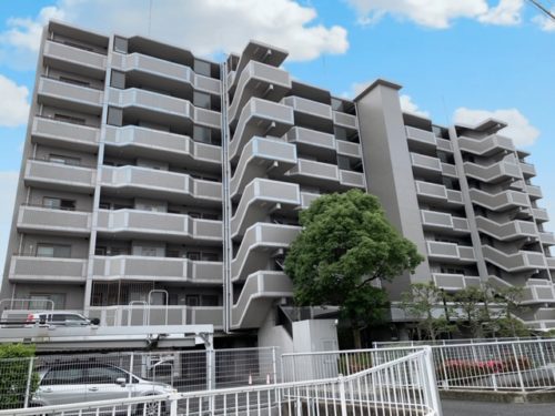 (外観) (外観)